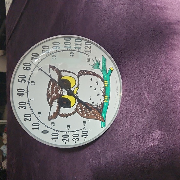 Other - Owl jumdo thermometer